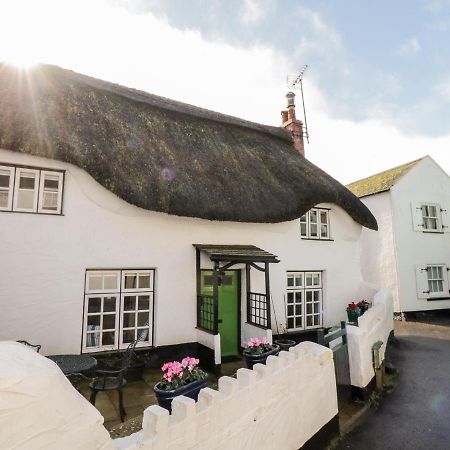 Teign Cottage تيغنماوث المظهر الخارجي الصورة